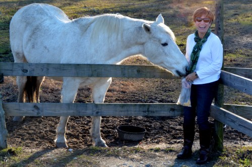 db laughing at aggie1 12-27-2014 3-21-26 PM 12-27-2014 3-21-26 PM