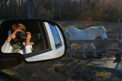 db taking pic of aggie 12-27-2014 3-24-58 PM