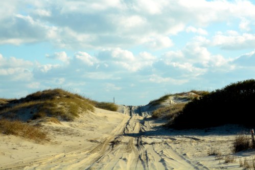 dunes1 11-28-2014 9-04-21 AM