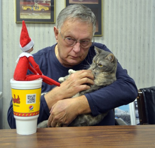 jr gypsy elf 12-4-2014 12-12-29 PM