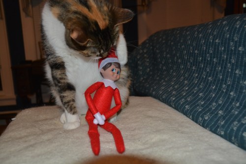 sundae elf 12-3-2014 9-38-26 PM