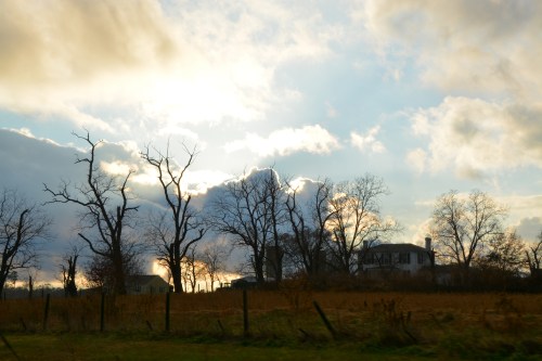 sunset taylor farm 11-27-2014 4-02-09 PM