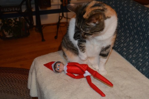 what 12-3-2014 9-38-41 PM