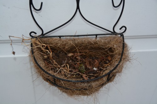 basket 1-15-2015 3-31-07 PM