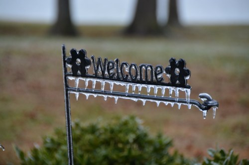 flag pole icicles 1-14-2015 11-00-01 AM