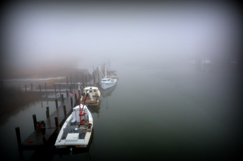 fog 1-12-2015 2-32-28 PM