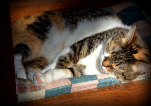 sundae quilt1 1-11-2015 11-50-46 AM