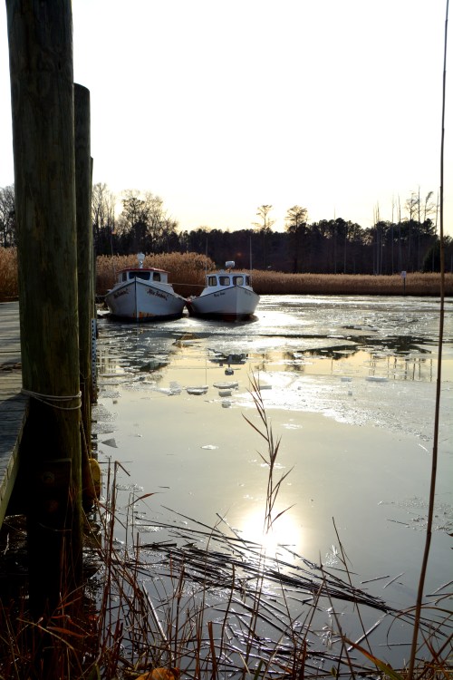 tb 1-11-2015 2-35-27 PM