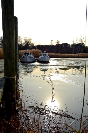 tb 1-11-2015 2-35-27 PM