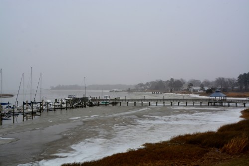 balcony monday 239 2-16-2015 2-39-16 PM