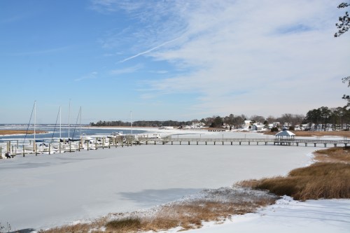 balcony tuesday 2-17-2015 1-27-02 PM