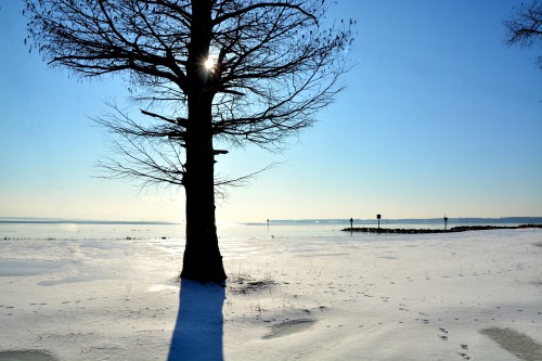 beach 2-20-2015 8-45-44 AM