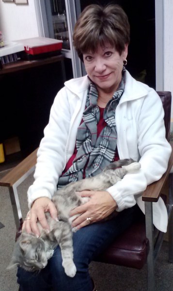 db and gypsy 1-31-2015 5-22-36 PM