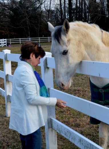 db diesel 2-4-2015 4-52-39 PM