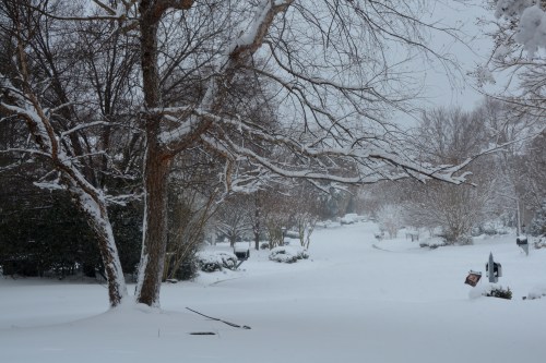 driveway 2-26-2015 8-35-13 AM