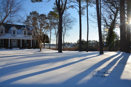 front yard 2-19-2015 7-58-19 AM