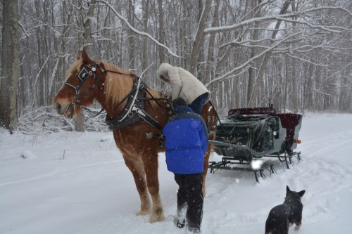 leg up1 1-30-2015 2-36-00 PM