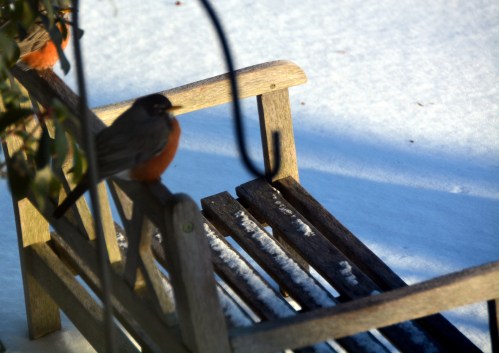 robins2-19-2015 7-53-32 AM 2-19-2015 7-53-32 AM