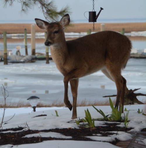 stepping 2-22-2015 5-06-52 PM