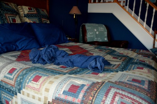 sundae's blanket2 2-8-2015 5-20-08 PM