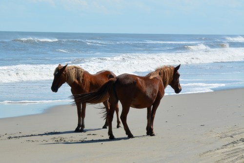 two 10-4-2014 1-32-06 PM