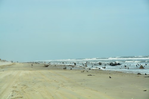 beach 2-28-2015 12-39-57 PM