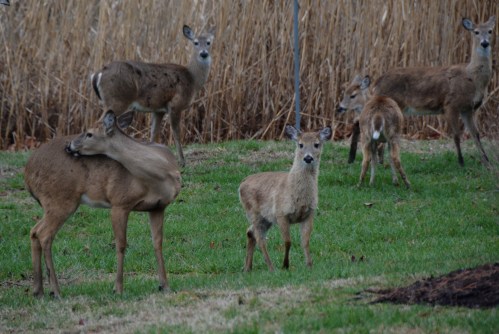 hello 3-20-2015 6-07-31 PM