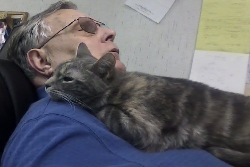 jr gypsy stretched out 1-15-2014 8-32-46 PM