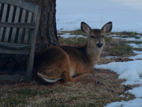 looking at you 3-2-2015 4-46-36 PM