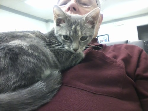 selfie 9-9-2013 12-14-56 PM