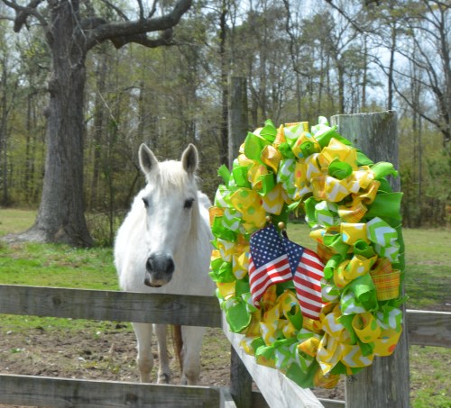 aggie and her wreath 4-11-2015 11-43-19 AM