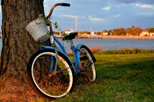 evening's golden hour, taken while on my brief blogging break