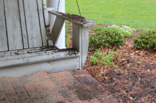 close up 4-30-2015 2-36-52 PM