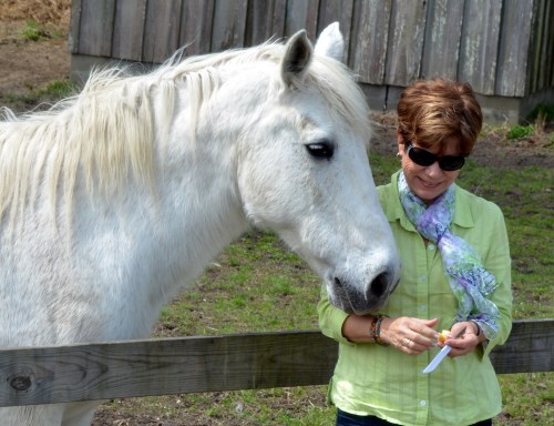 db and aggie2 4-11-2015 11-38-40 AM