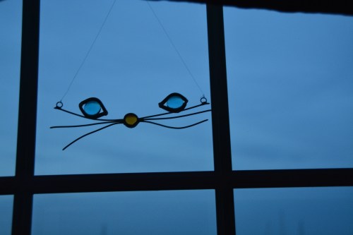 kitty face1 4-6-2015 7-39-24 PM