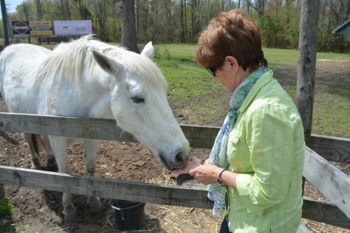 patience 4-11-2015 11-41-50 AM