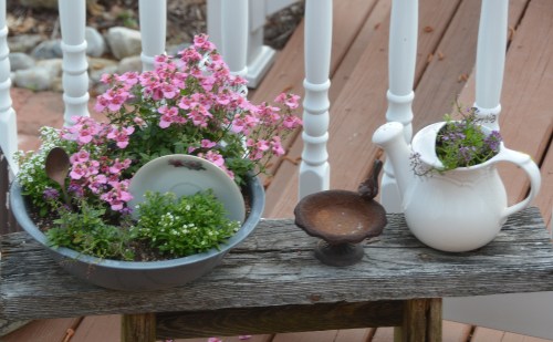 dish garden 5-10-2015 8-24-27 AM