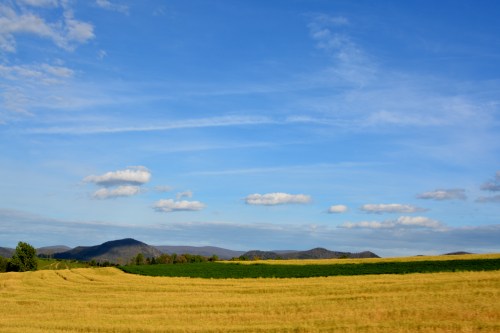 field and clouds 5-2-2015 6-13-28 PM
