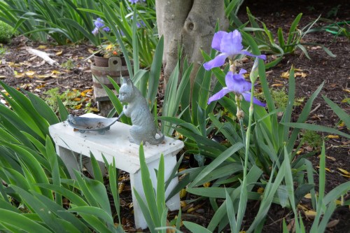 iris and kitty on bench 5-10-2015 8-26-58 AM 5-10-2015 8-26-58 AM