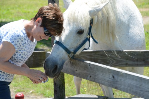 db and aggie 6-1-2015 1-32-42 PM