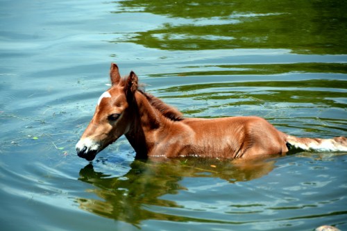 guillermoa 6-15-2015 12-48-34 PM 6-15-2015 12-48-34 PM