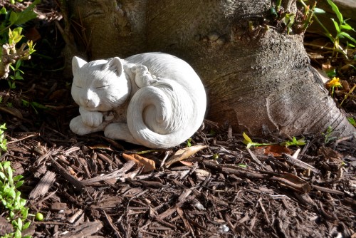kitty statue 6-19-2015 7-59-22 AM