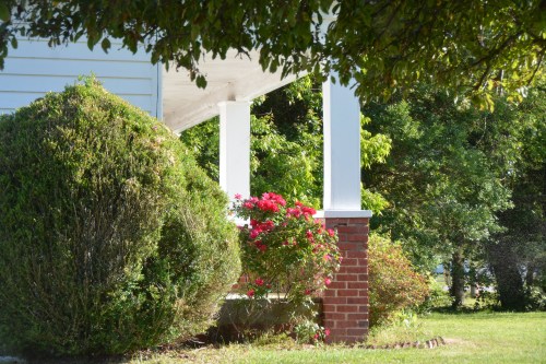 mamas front porch 5-20-2015 8-18-02 AM