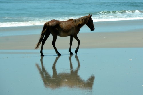 reflection 6-15-2015 1-20-19 PM