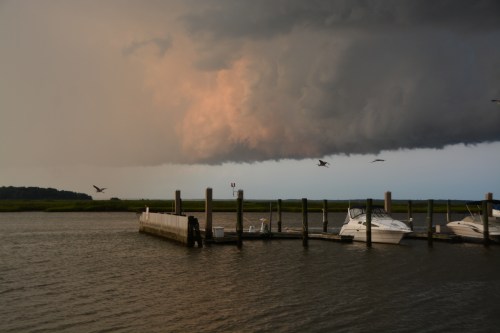 clouds birds 7-6-2015 8-13-23 PM