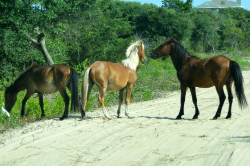 discussion 7-10-2015 9-29-41 AM