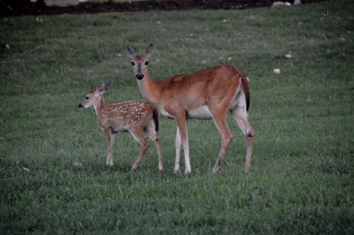 mom babe 7-21-2015 8-24-28 PM