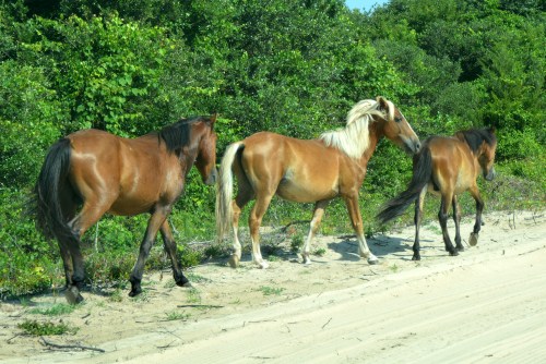 three 7-10-2015 9-27-21 AM