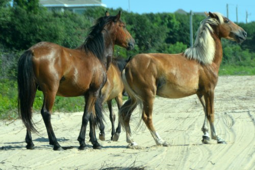 three2 7-10-2015 9-27-45 AM