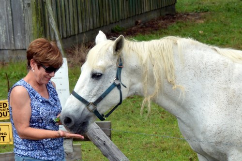 aggies treat 8-10-2015 11-31-42 AM